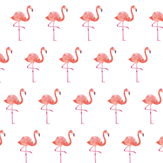 026_flamingo