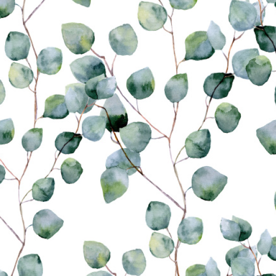 027_eucalyptus